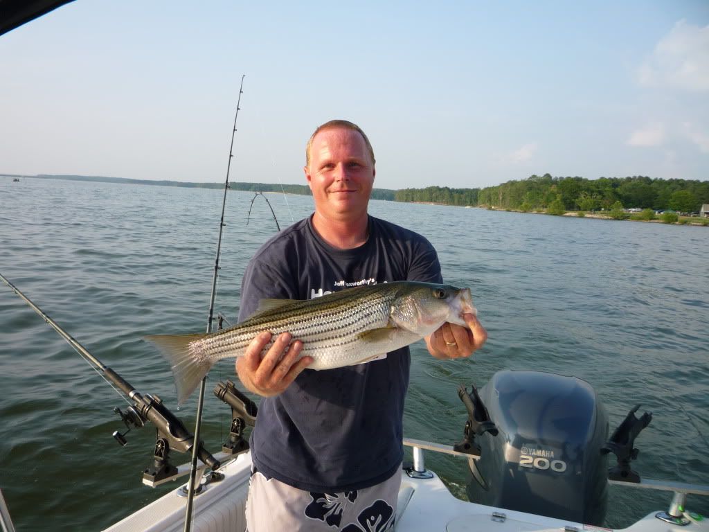 Striper Fishing On Jordan Lake